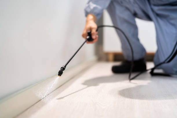 Licensed Rodent Control service in Westport Village, CT - Nex Pest Control