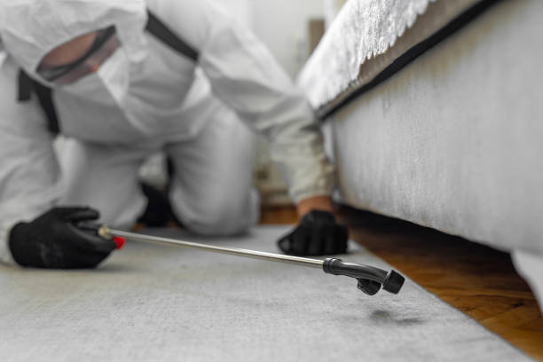 Professional Rodent Control technician working in Westport Village, CT