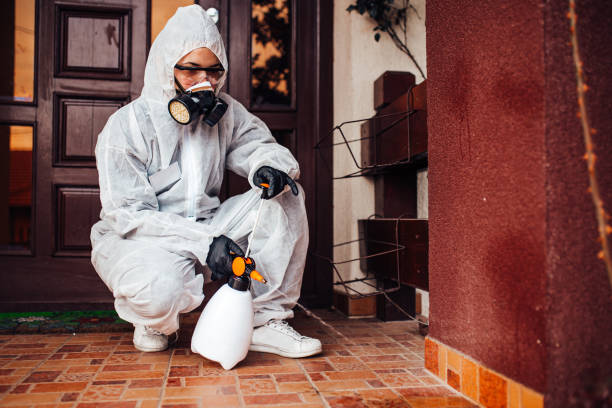 Reliable Rodent Control contractor in Westport Village, CT by Nex Pest Control