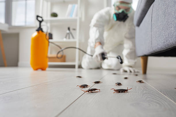Trusted Rodent Control service in Westport Village, CT - Nex Pest Control
