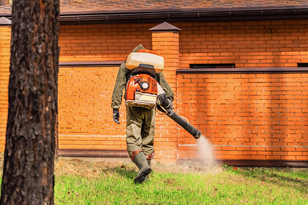 Trusted Ant Control service in Westport Village, CT - Nex Pest Control